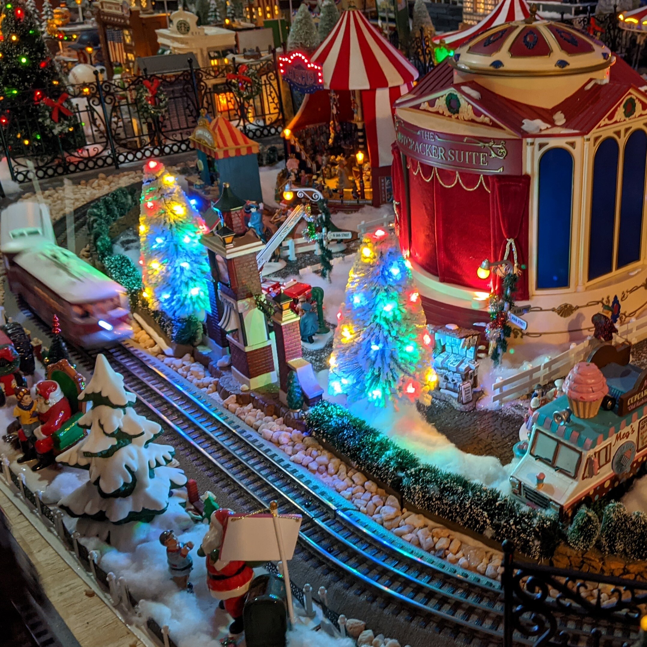 Christmas in July | Massachusetts Horticultural Society